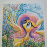 Flutterwonder