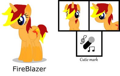 Reference Sheet for FireBlazer