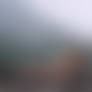 Misty Morning