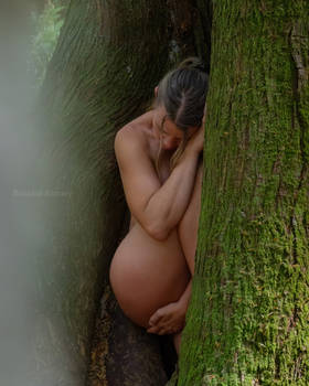 Seedling