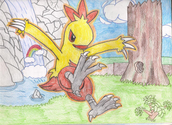 Combusken's Training