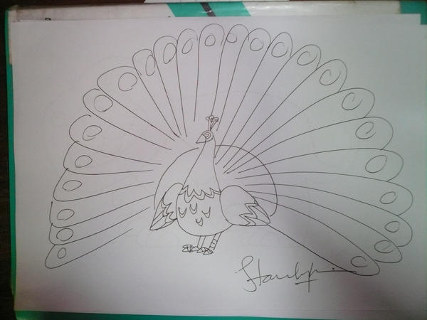 A CARTOON PEACOCK