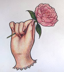 Fairy rose