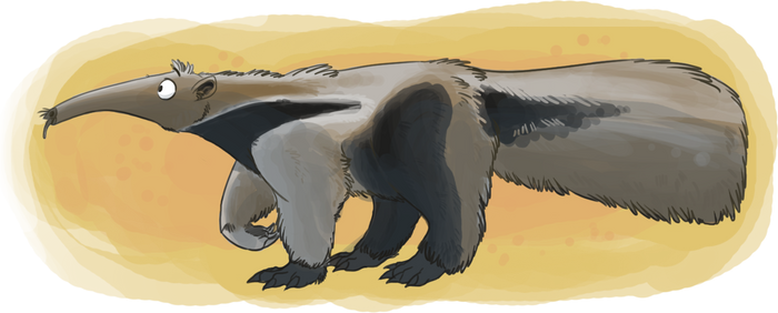 anteater