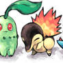 Johto Starters