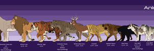 Animal Size Comparison Chart