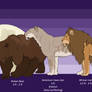 Animal Size Comparison Chart