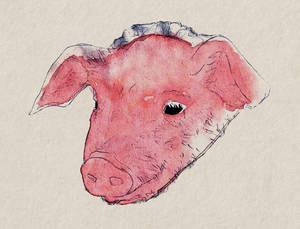 Pighead