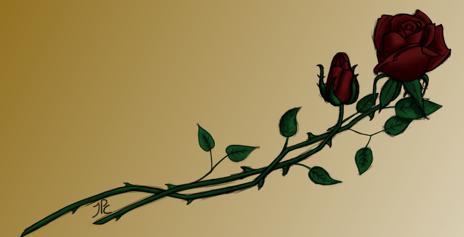 Crossed Roses by Joparicharbon on DeviantArt