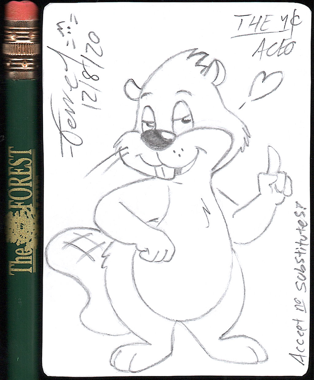 Beaver by MartenFerret on DeviantArt