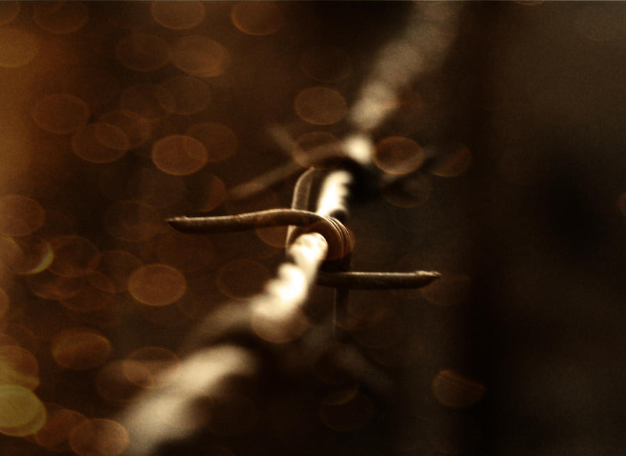 .:Barbed Wire:.