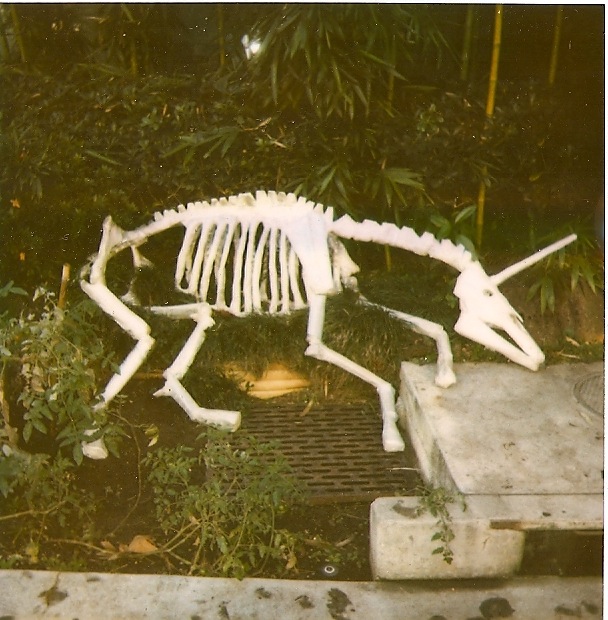 Unicorn Skeleton