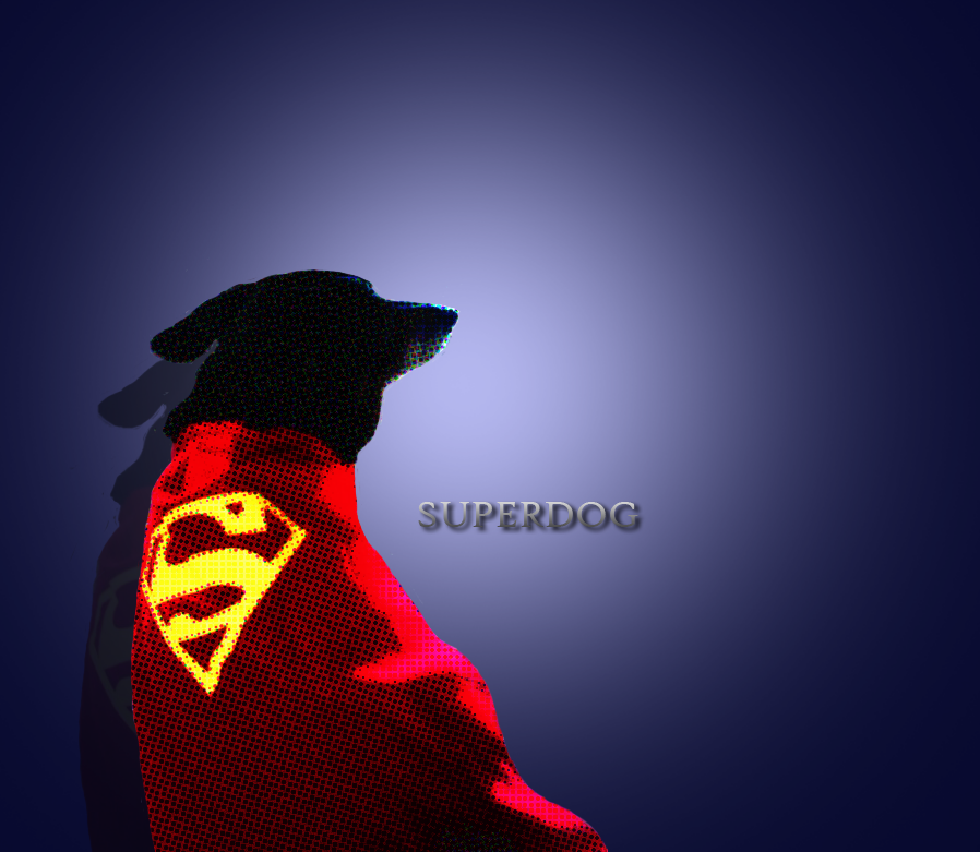 SUPERDOG!!!