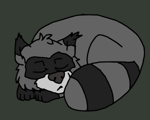 Sleepy Raccoon