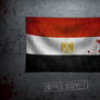 Save Egypt
