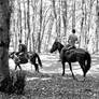 Horsemen in the Woods