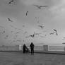 By the Sea. Baku, Jan 2026