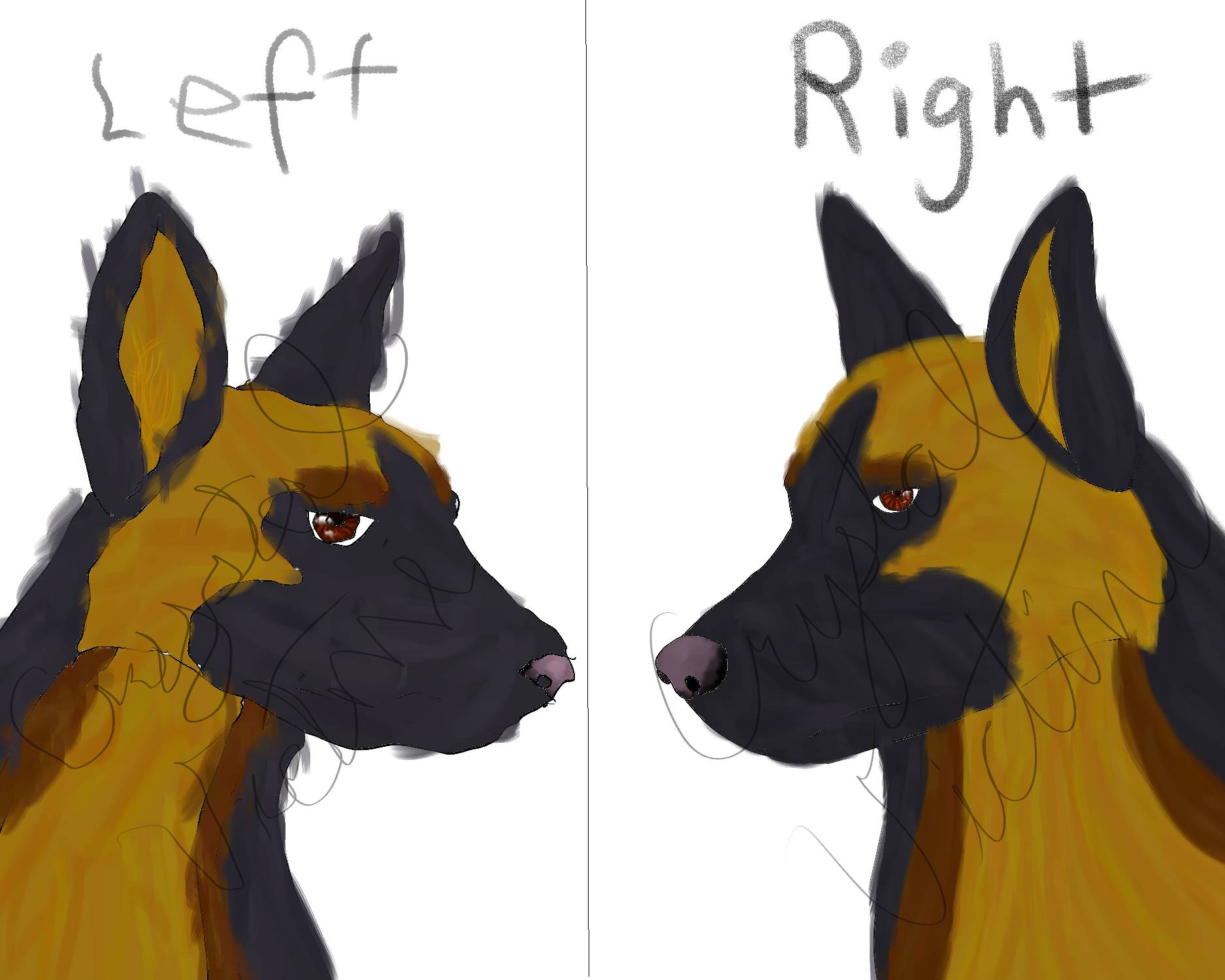 Left VS Right by CrystalVictini on DeviantArt