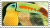 toucan stamp by batdanii