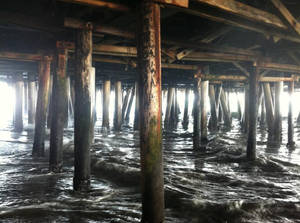 santa monica pier