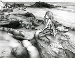 Mermaid Among the Shores