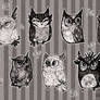 Inky owls