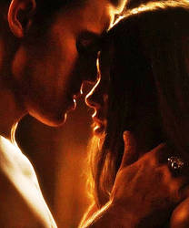 Stelena 3