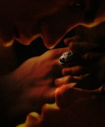 Stelena 5