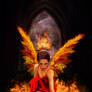 Ave Fenix