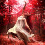 Dancing in a dream