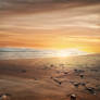 Beach sunset premade background