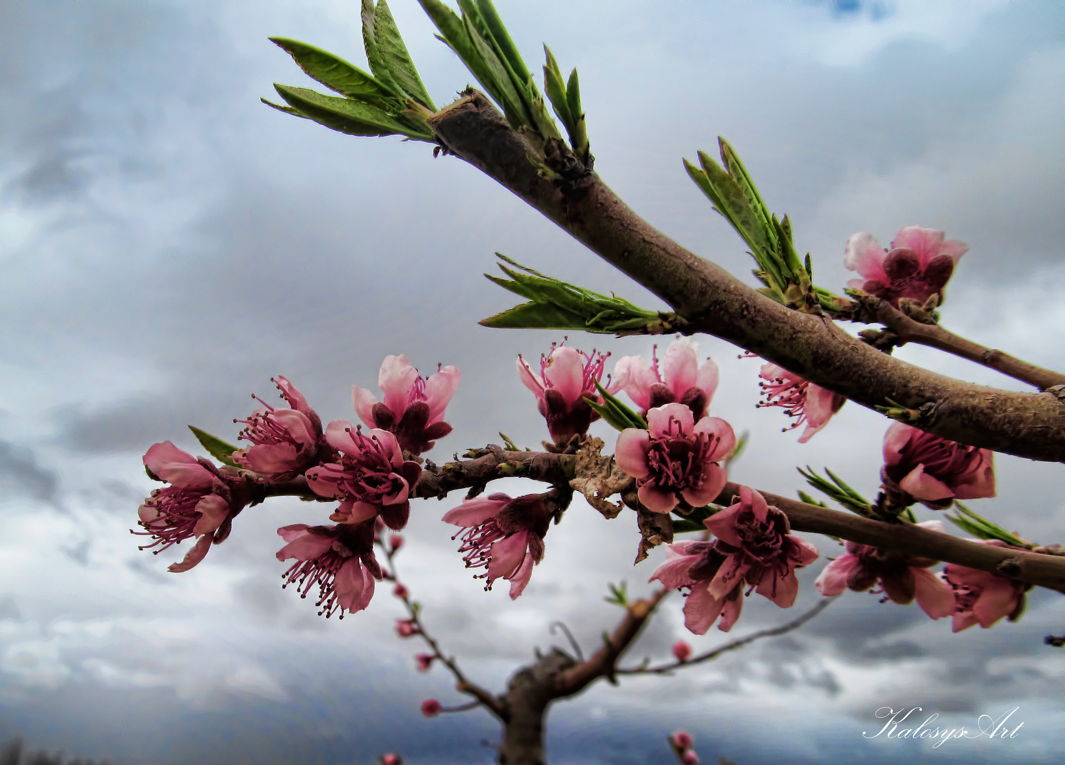 Spring illusions