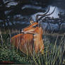 oil paint wildlife