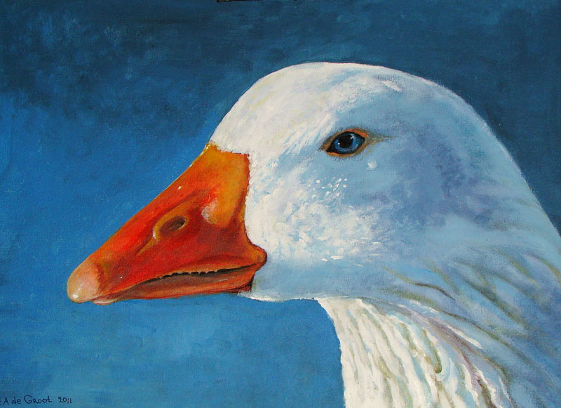 white goose