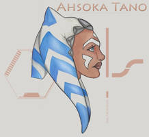 Ashoka2