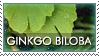 .:Ginkgo Stamp