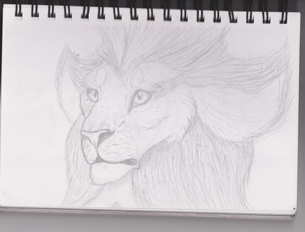 Pyroar Realistic Realistic Pyroar by Meow-Productions on DeviantArt