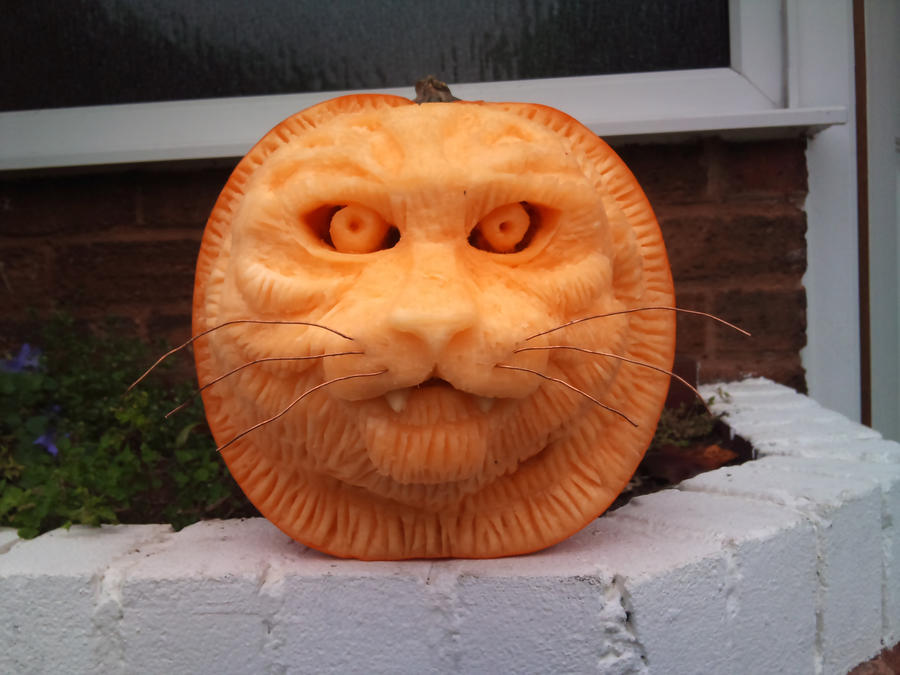 pumpkin big cat