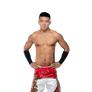 Boa WWE 2K22 Render