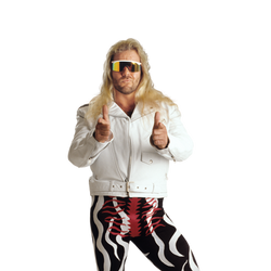 Michael P.S. Hayes WWE 2K23 Render