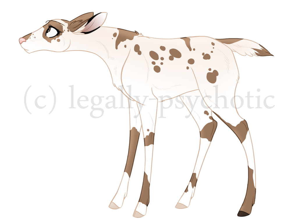 Doe in bambi name