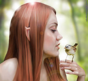 Elven Girl with Bird