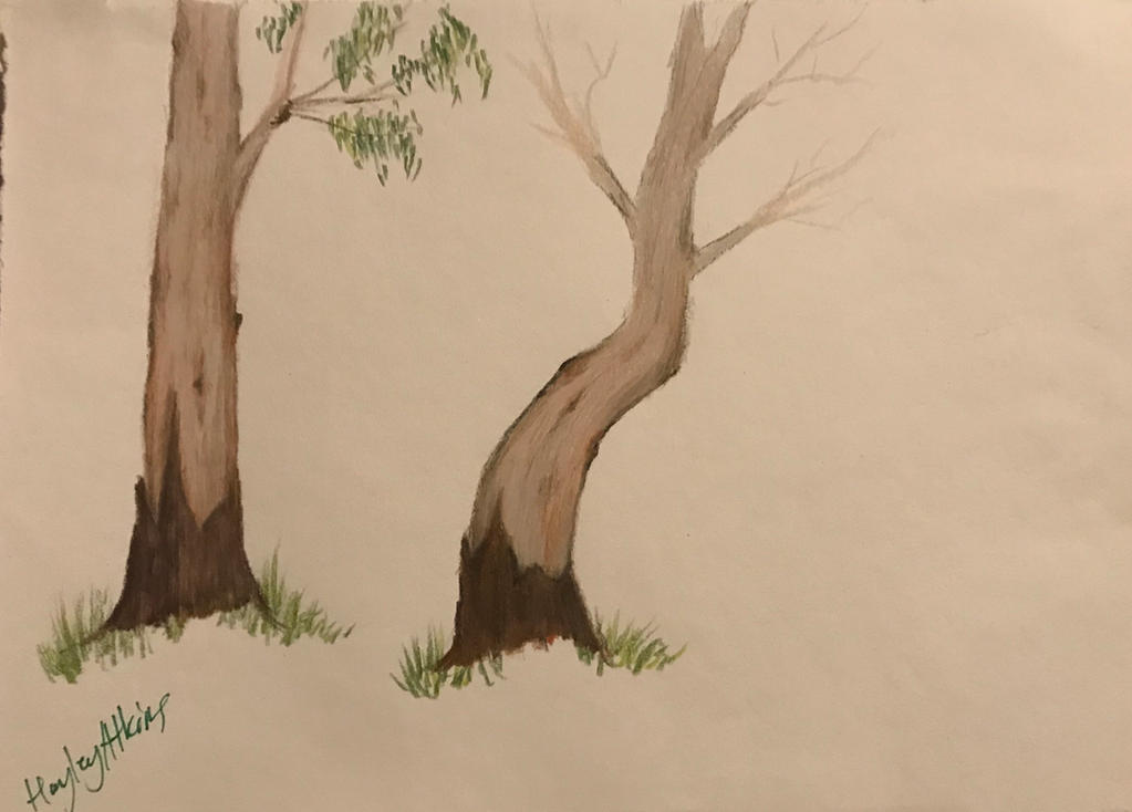 Tree Render Deviantart More trees by Crazyartist211 on DeviantArt