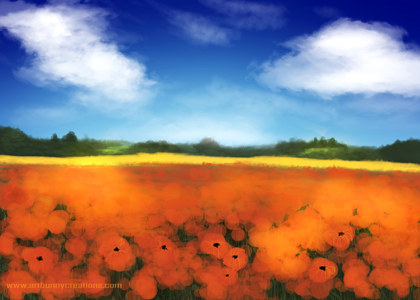 05 Poppy Field