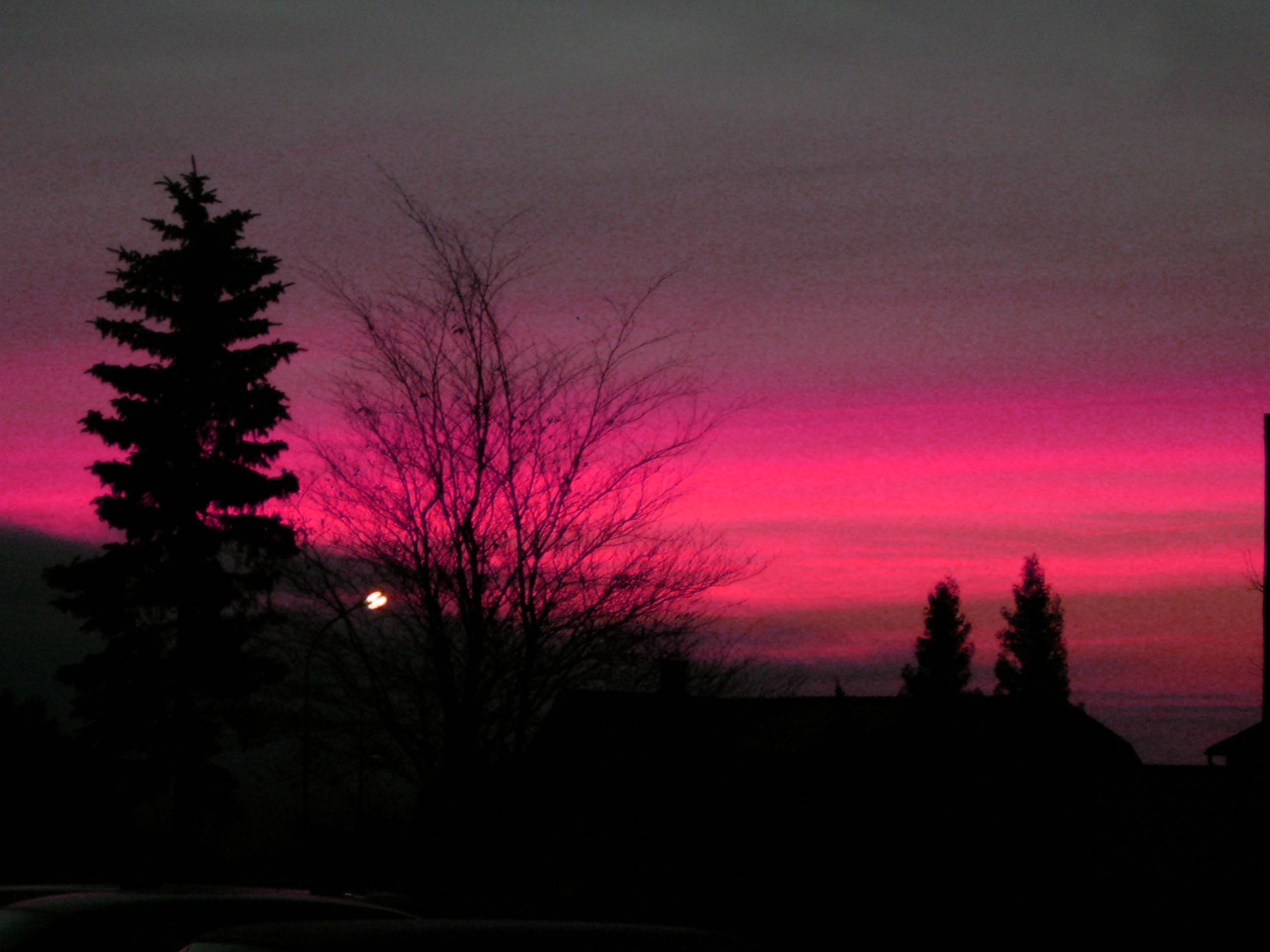 pink sunrise.