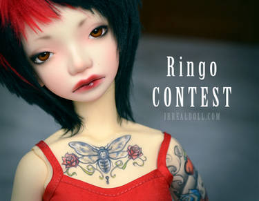 Ringo CONTEST