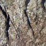 Rock texture O2