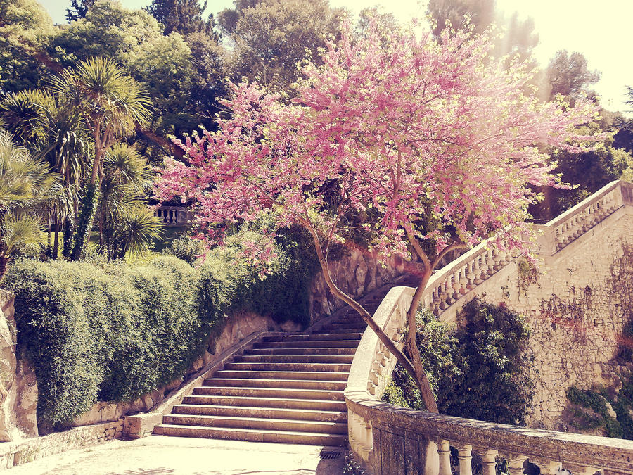 Les Jardins de la Fontaine