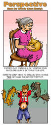 One cat, two cats by sethness