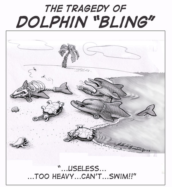 The Tragedy of Dolphin Bling